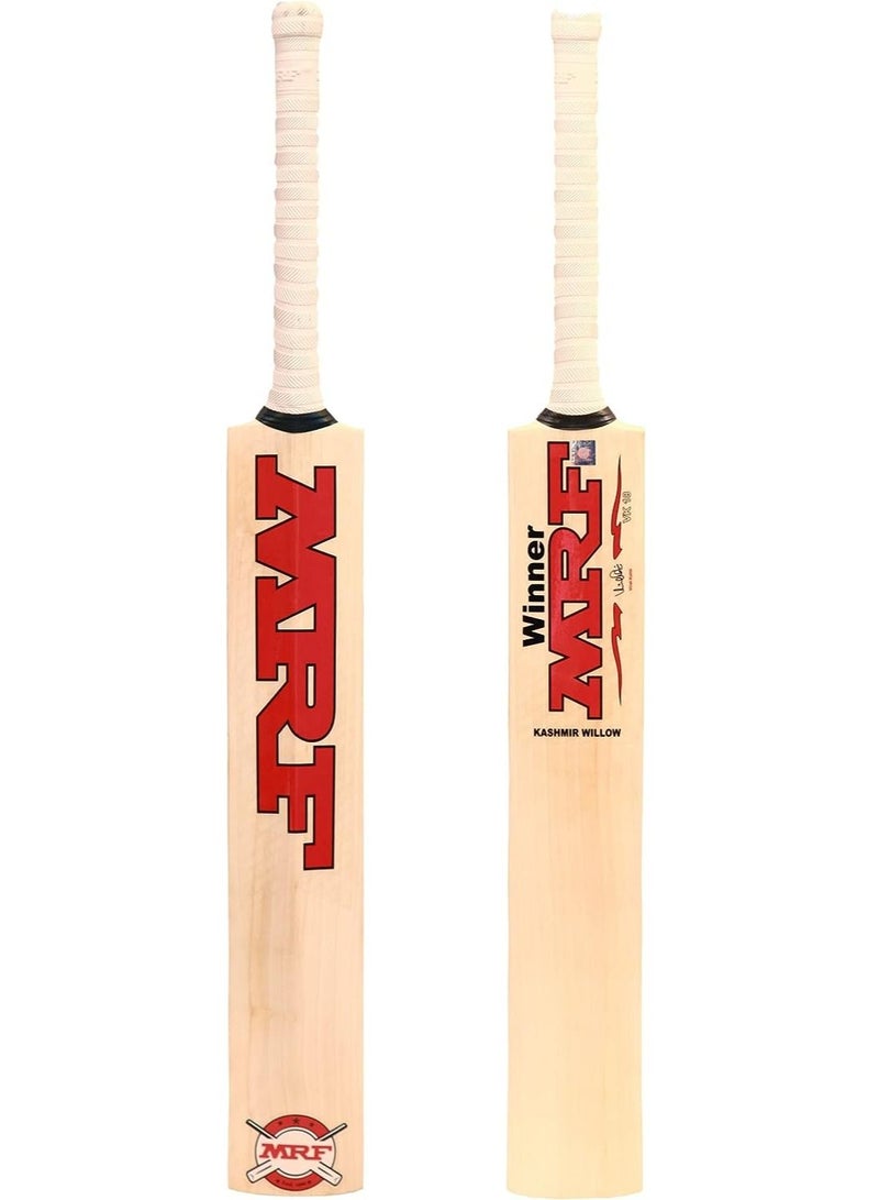Winner Kashmir Willow Cricket Bat SH