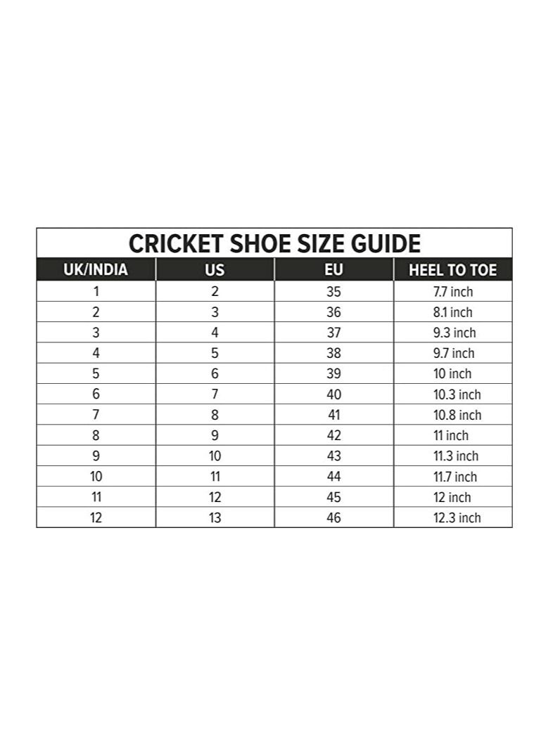 Beamer Cricket Shoes | 6 UK, 7 US, 40 EU | For Boys and Men | Eva Sock Liner | Lightweight Outsole | Durable