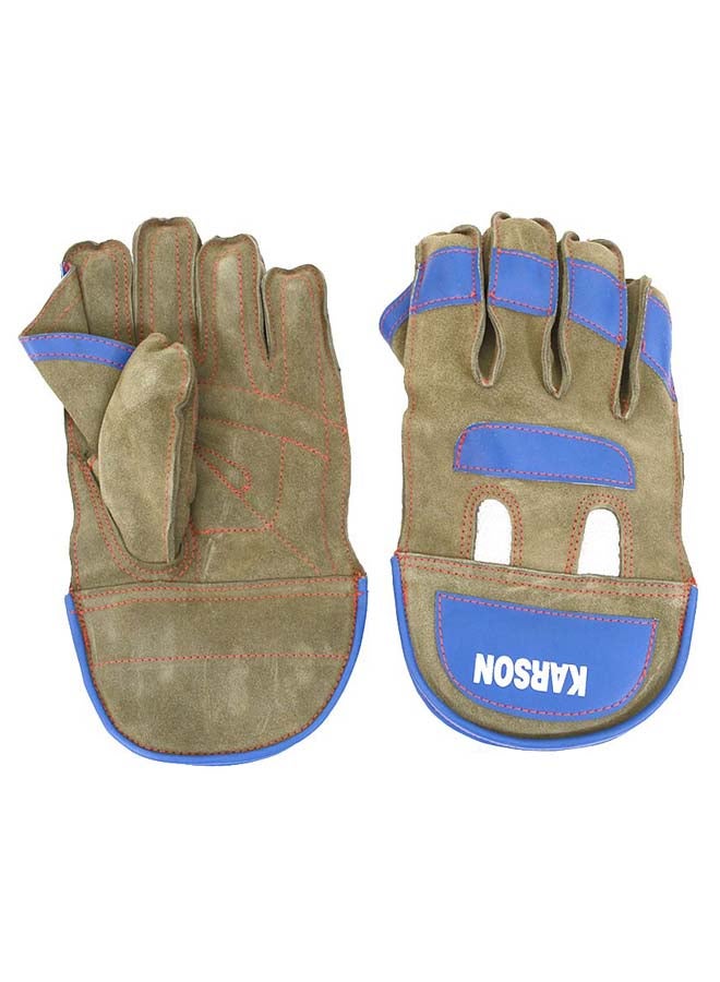 Wicket Keeping Cricket Gloves