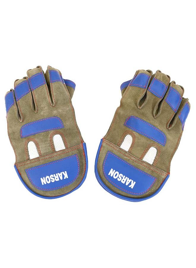 Wicket Keeping Cricket Gloves