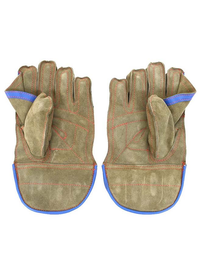 Wicket Keeping Cricket Gloves