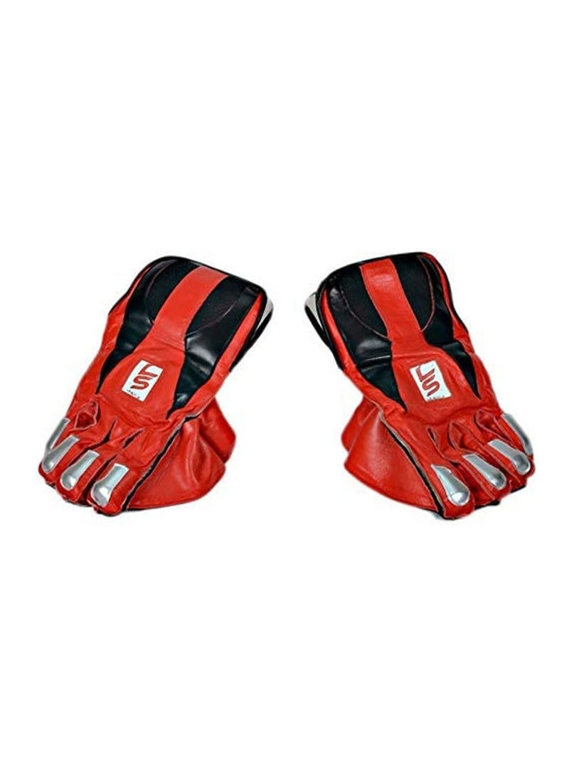 Cricket Wicket Keeping Gloves