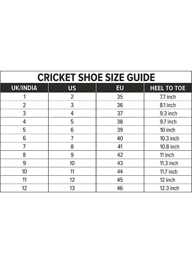 Jaffa 22 Cricket Shoes | For Mens & Boys | Material: Mesh | Breathable Mesh | Non-Slip Sole for Improved Durability for Stability