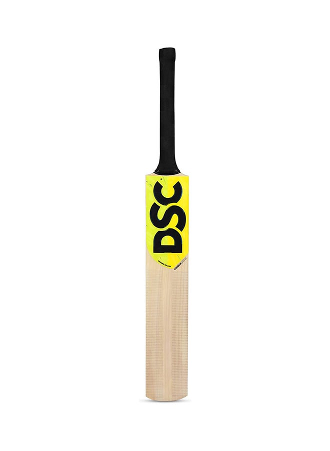 Premium Cricket Complete Kit