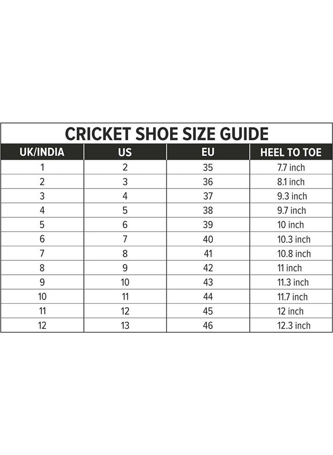 DSC Beamer Cricket Shoes | Grey/White | For Boys and Men | Light Weight | Durable | 8 UK, 9 US, 42 EU