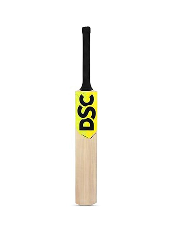 Economy Kashmir Willow Cricket Kit | Complete Cricket Kit | Professional Cricket Gear | All-In-One Cricket Set