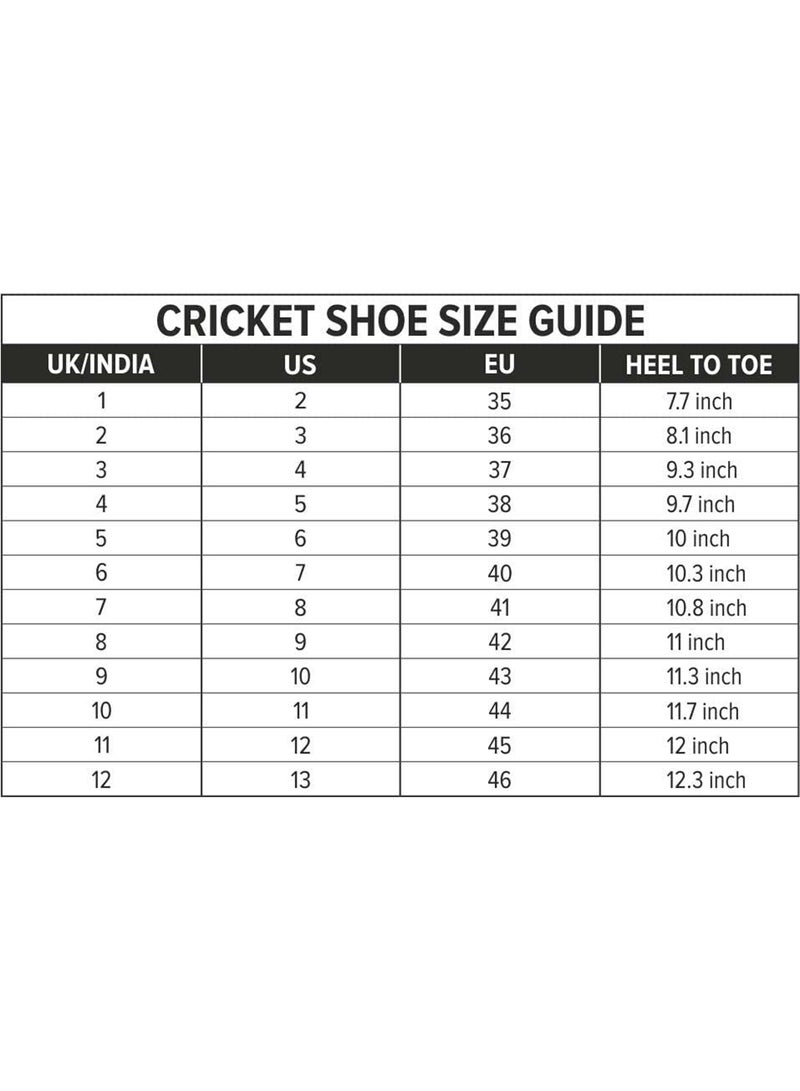 Belter Cricket Shoes | Color: Teal Blue | Size: 2UK/3US/36EU| For Mens & Boys | Material: Mesh | Super Lightweight & Comfortable Cricket Shoes | Superior Grip