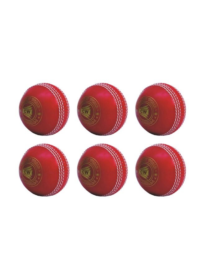 Pack Of 6 Training Cricket Ball