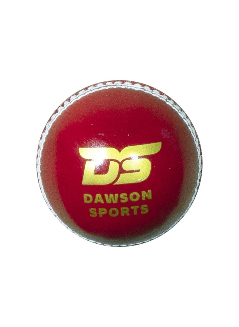 Club Leather d Cricket Ball - Junior