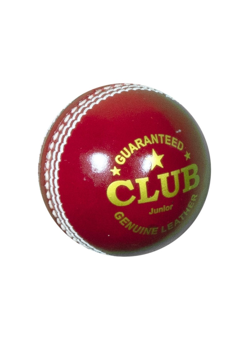 Club Leather d Cricket Ball - Junior