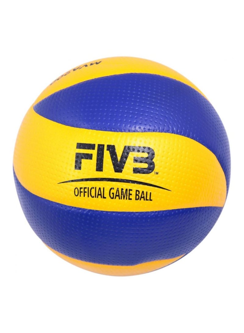 Training Volleyball