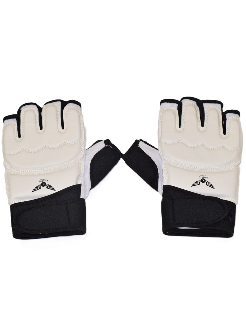 Taekwondo Gloves