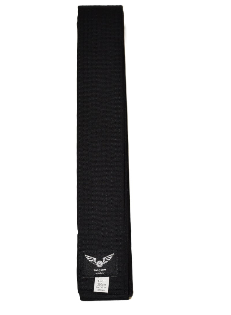 Taekwondo Master Black Ranking Belt