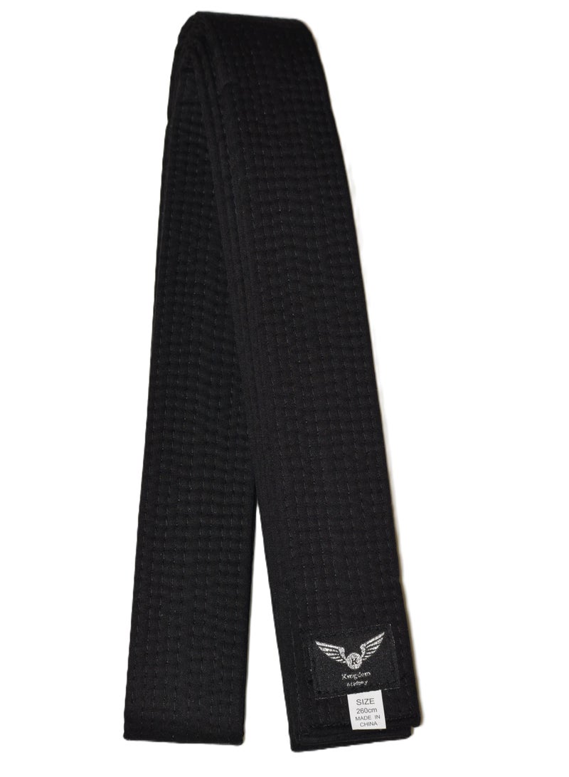 Taekwondo Master Black Ranking Belt