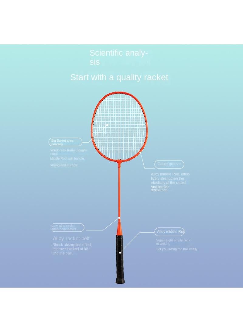 Alloy Professional Training Badminton Racket