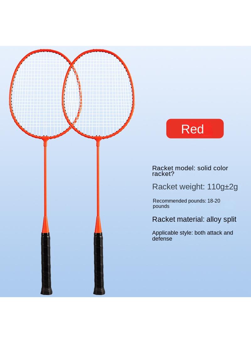 Alloy Professional Training Badminton Racket