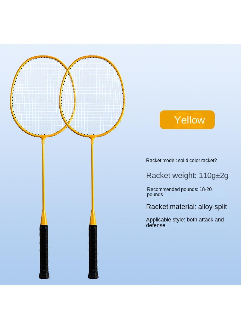 Alloy Professional Training Badminton Racket