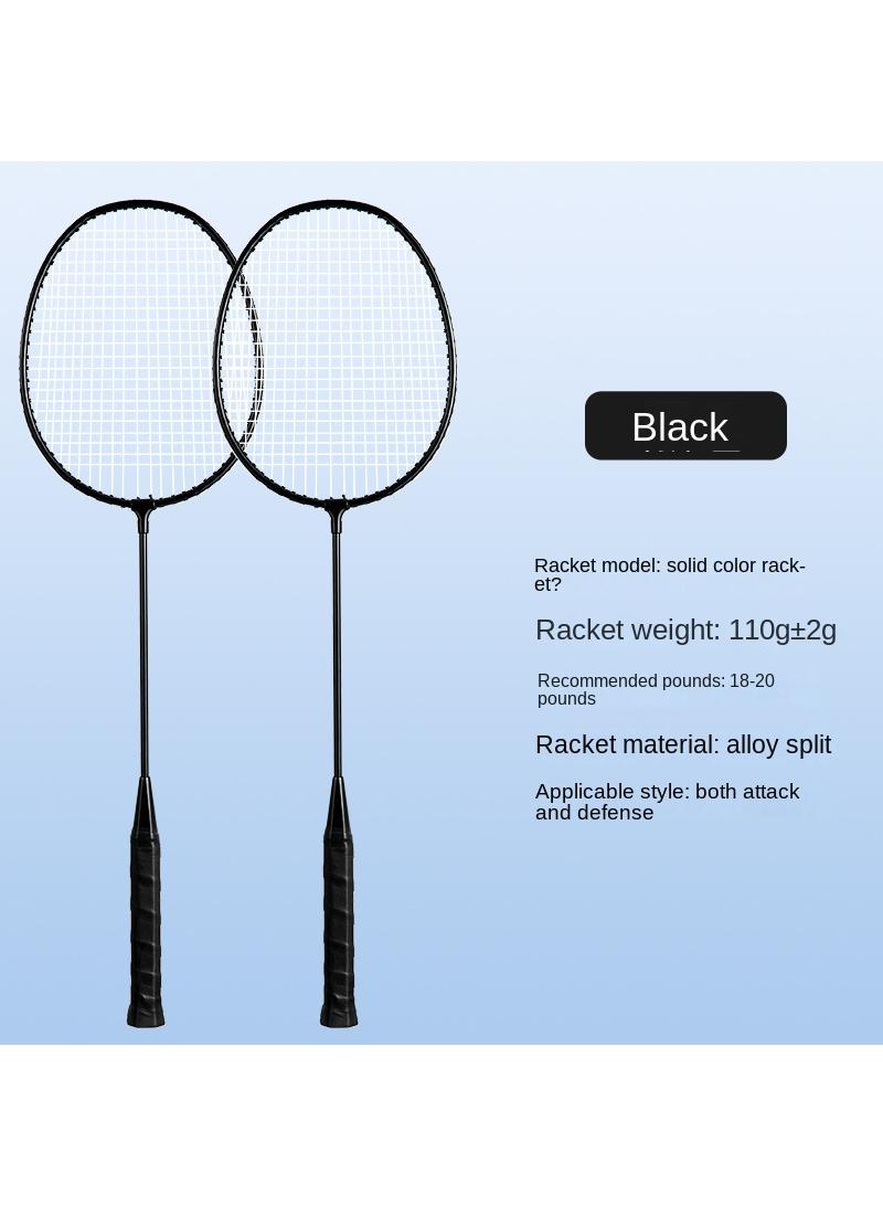 Alloy Professional Training Badminton Racket