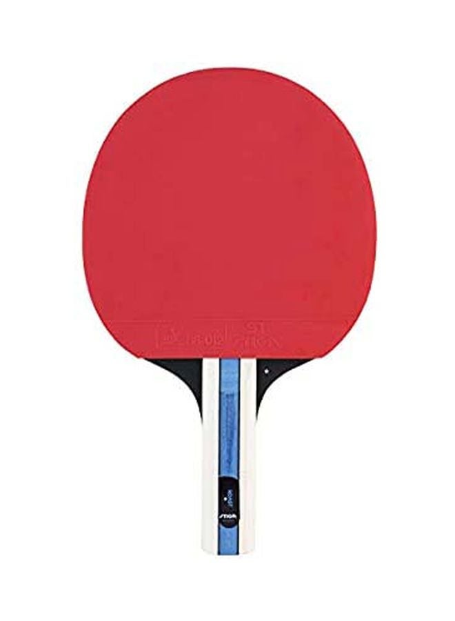 Roast Table Tennis Bat 28x15x2cm