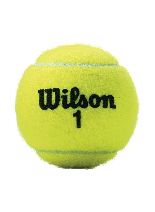 Pack Of 4 Championship Extra Duty Tennis Balls Set