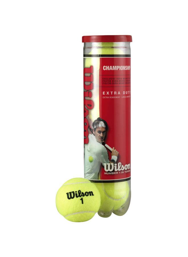 Pack Of 4 Championship Extra Duty Tennis Balls Set