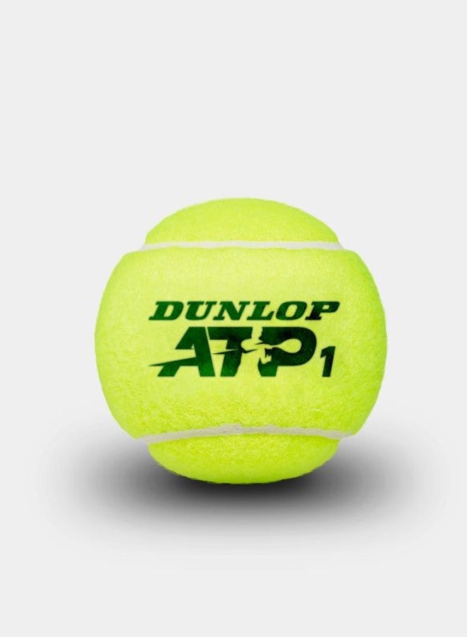 Dunlop ATP Official Tennis Balls (3X cans )