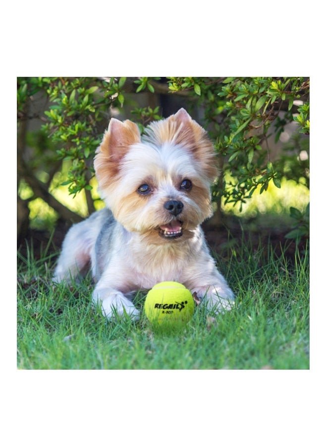 6-Piece Tennis Ball