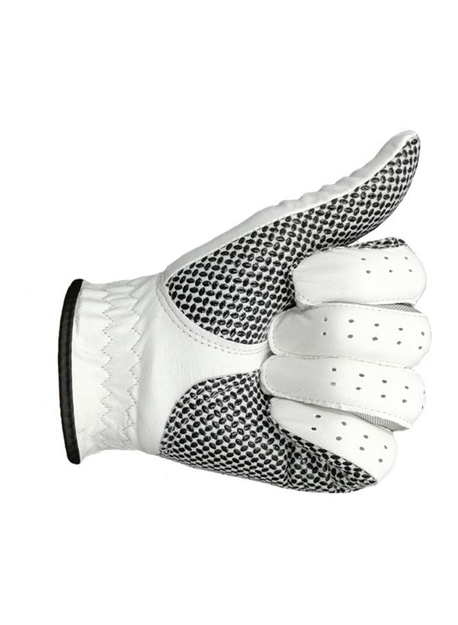 Left Hand Golf Glove 26x26x26cm