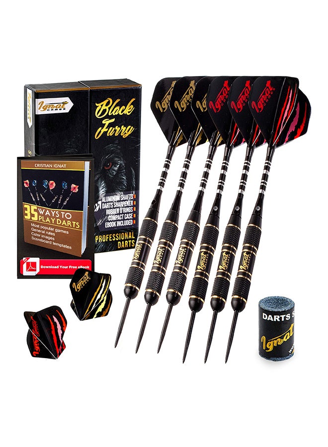 Professional Darts Set With Innovative Case