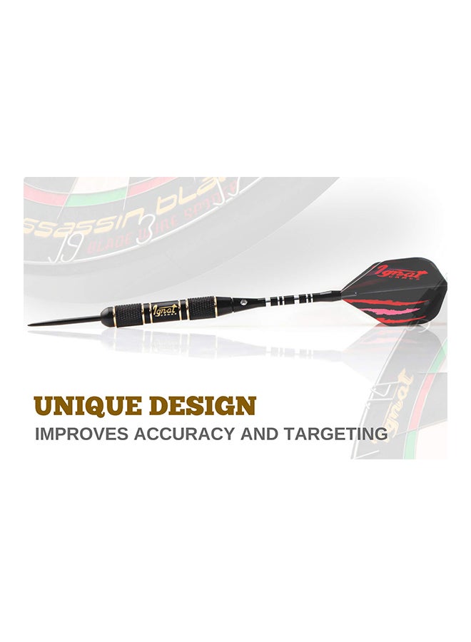 Professional Darts Set With Innovative Case