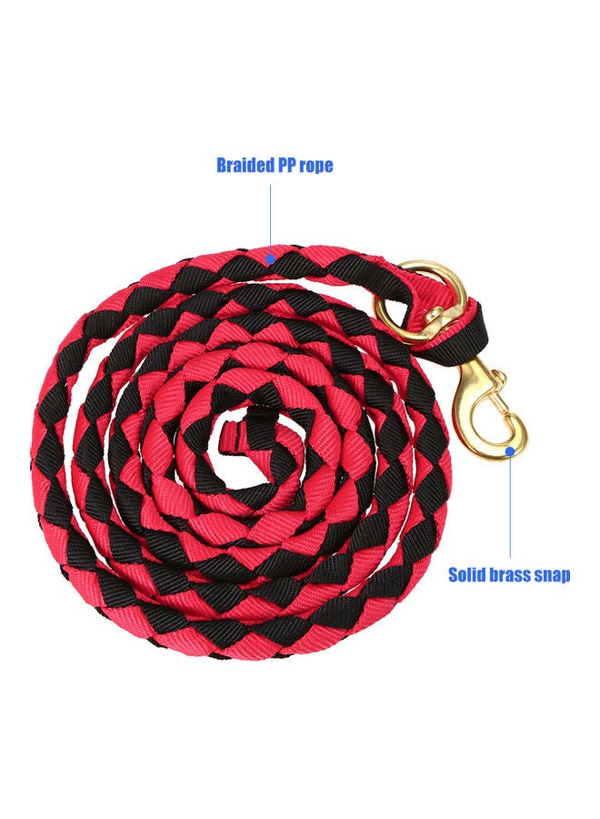 Braided Horse Rope With Brass Snap 2.5meter