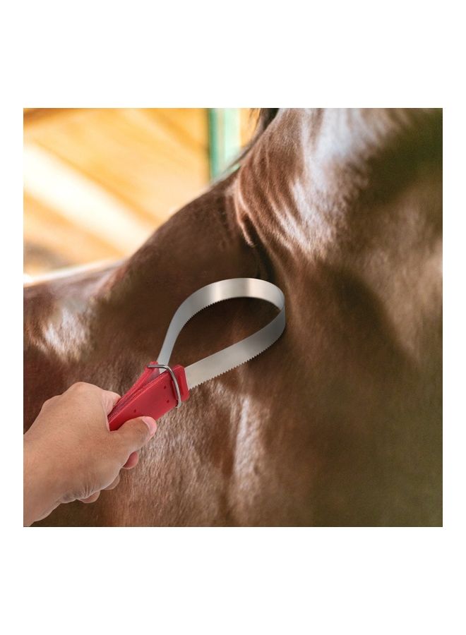 Stainless Steel Equine Sweat Scraper