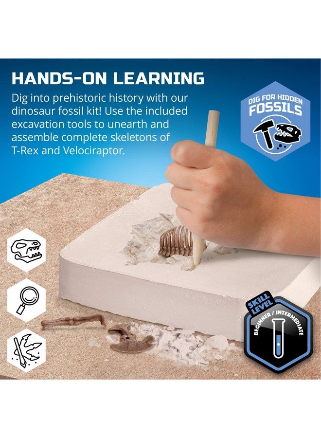 Discovery #Mindblown Dinosaur Fossil Dig Excavation Kit, 15Piece Trex & 10Piece Velociraptor, 3D Skeleton Puzzle Display Models, Includes Tools & Safety Glasses, Jurassic Dino Toy For Kids