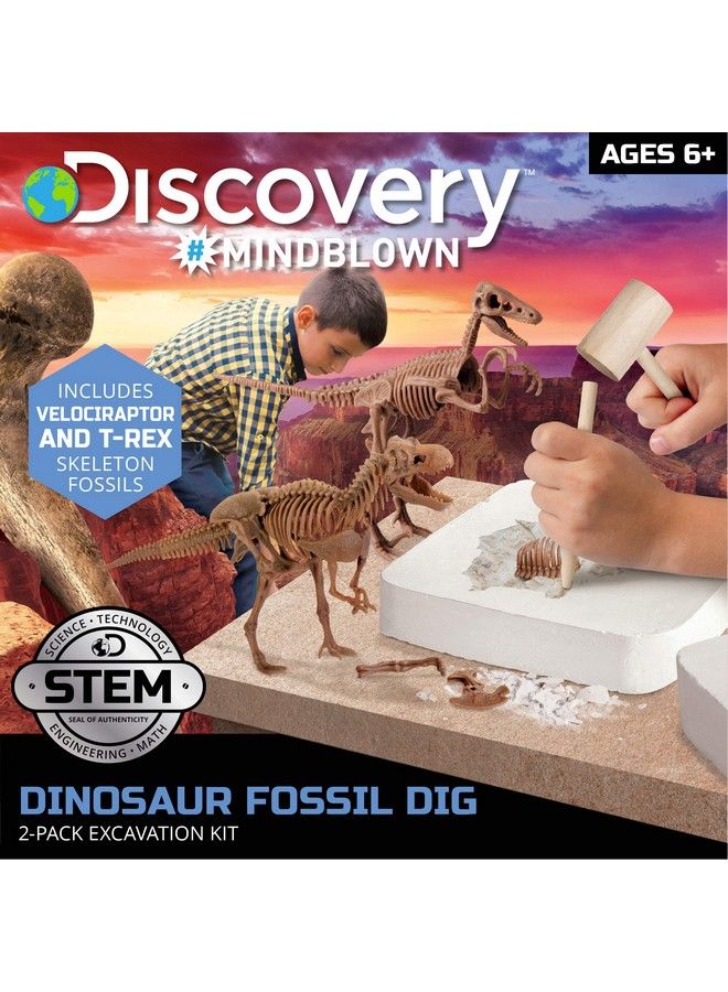 Discovery #Mindblown Dinosaur Fossil Dig Excavation Kit, 15Piece Trex & 10Piece Velociraptor, 3D Skeleton Puzzle Display Models, Includes Tools & Safety Glasses, Jurassic Dino Toy For Kids