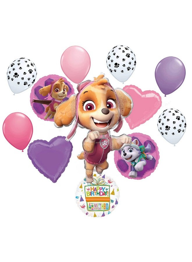 Paw Girl Pups On Patrol Skye Birthday Party Supplies Balloon Bouquet Decorations