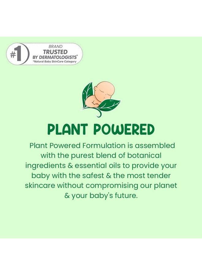 Plant Powered Talc Free Dusting Powder For Babies ; With Corn Starch & Oat Powder 100 G (Pack Of 3)