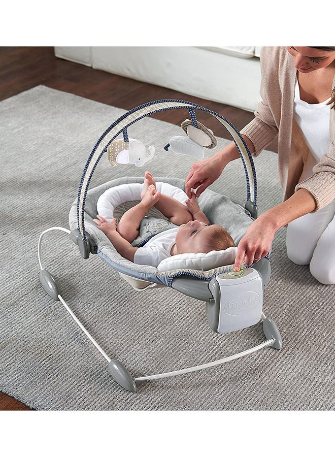 Dream Comfort SmartBounce Automatic Bouncer – Townsend