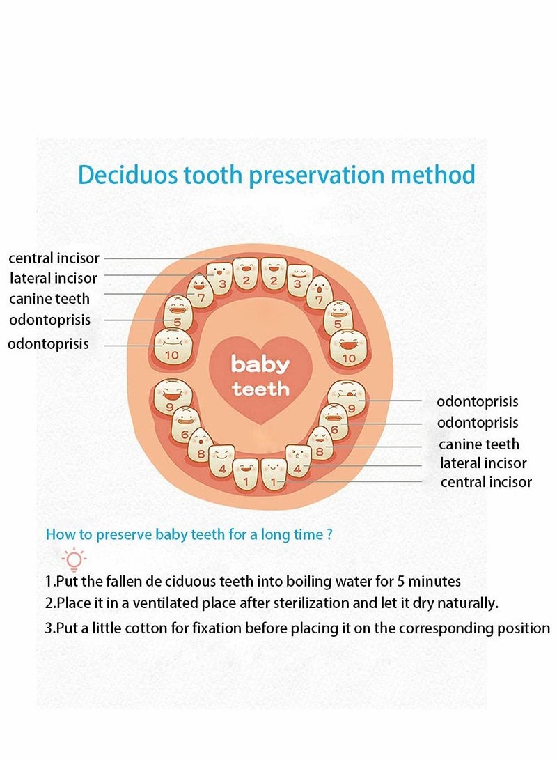 Tooth Box, Personality Wooden Kids Keepsake Organizer for Baby Teeth and Hair Photo, Shower & Birthday Gift, Storage Memory