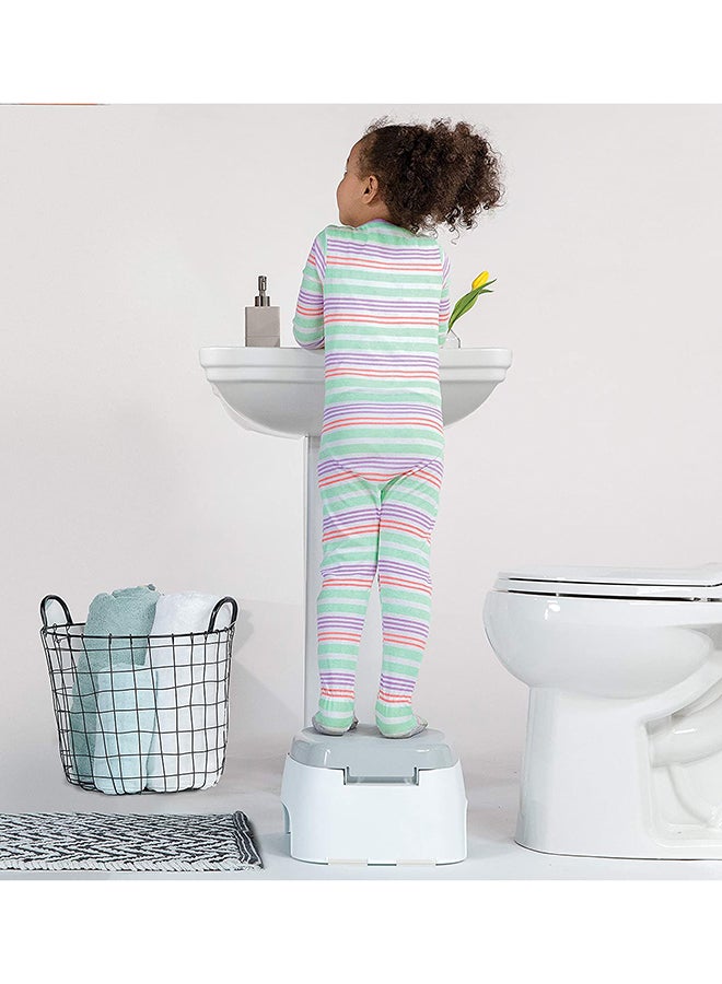 2-In-1 Step Up Potty Training System, 18+ M - Grey/Blue