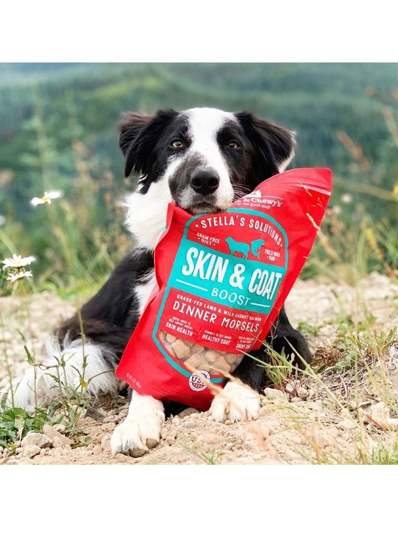 Skin & Coat Grass Fed Lamb & Wild Caught Salmon Dog Freez Dried Food 13oz