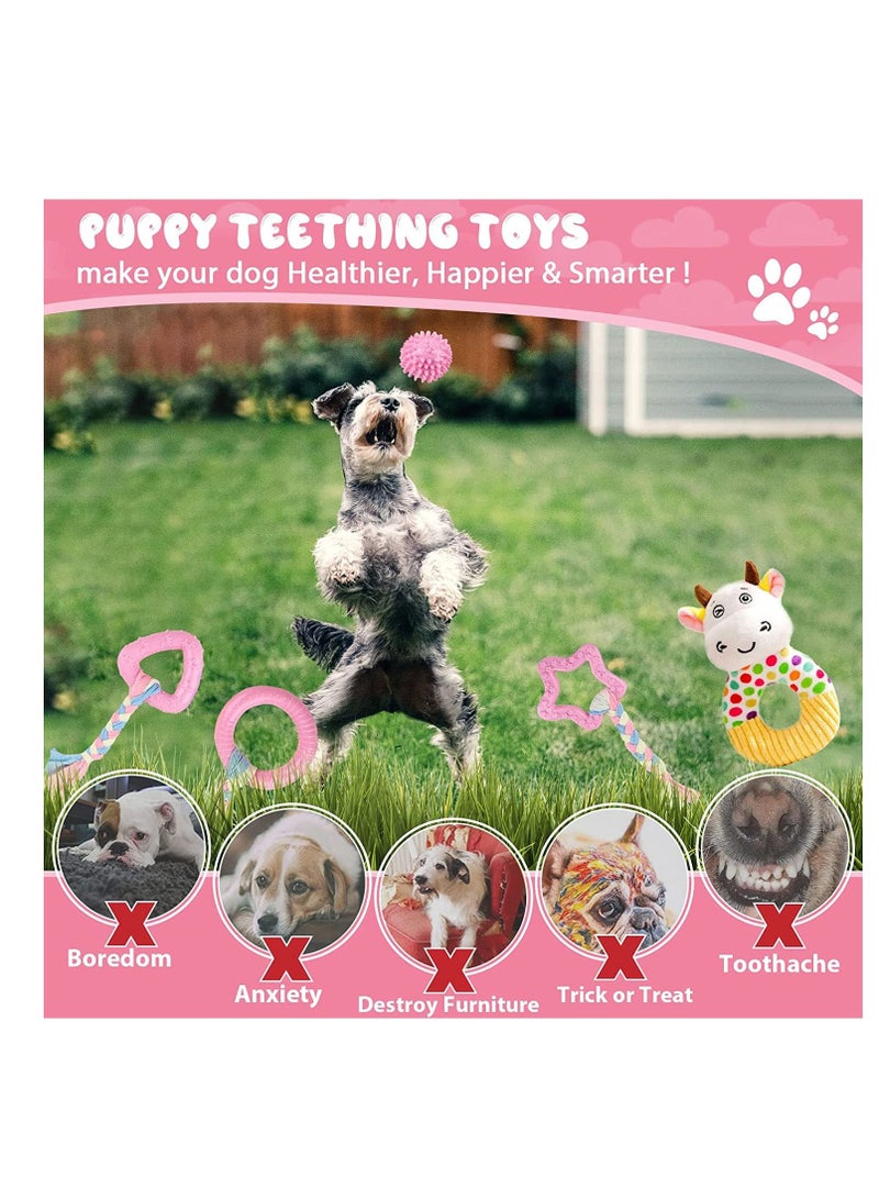 SYOSI Puppy Chew Toys Pink Puppy Teething Toys for Small Breed Dogs Cute Puppy Plush Squeaky Toys Soft Natural Rubber Puppy Teeth Cleaning Toys Girl Dog Toys Interactive Pet Toy Set 5 Pack