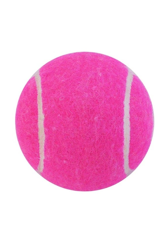 Nitro Heavy Tennis Cricket Ball (Pink, Pack of 12) | Leather | Suitable for Practice Game | Training | Hard Court | Grass