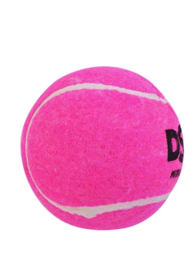 Nitro Heavy Tennis Cricket Ball (Pink, Pack of 12) | Leather | Suitable for Practice Game | Training | Hard Court | Grass