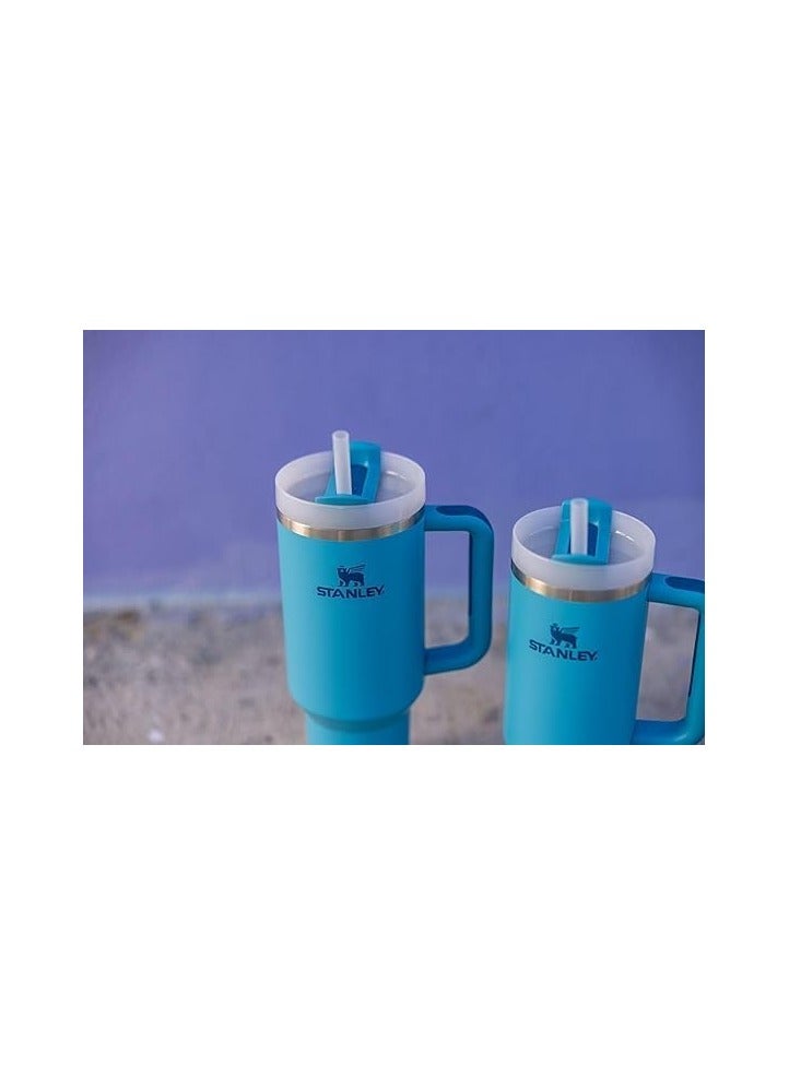 Stanley Insulated mug with straw lid for water, Tea Coffee, Juice and Smoothie 40 oz.