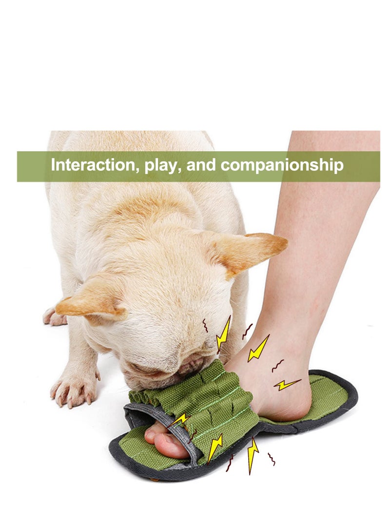 Dog Toys, Slippers Shaped Pet Toys, Dog Toys for Boredom,  Interactive Squeaky Toys for Small Medium Dogs, Training Toy with Function for Puzzle, Food Hunting Stress Relief (Green)