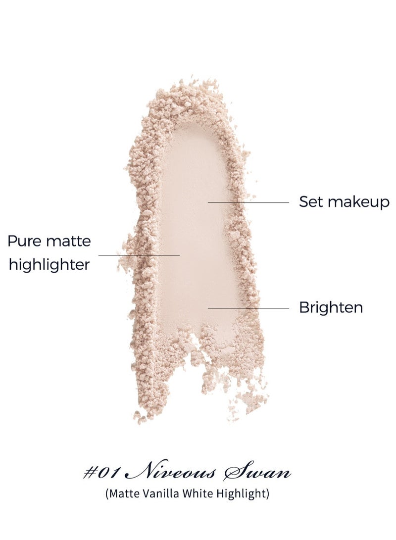 Swan Ballet Embossed Blush, Flocked Mist Embossed Cheek, Inflated Color, Matte, Classic Makeup - 5g (01 Niveous Swan)
