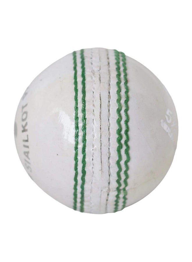 Cricket Ball Small