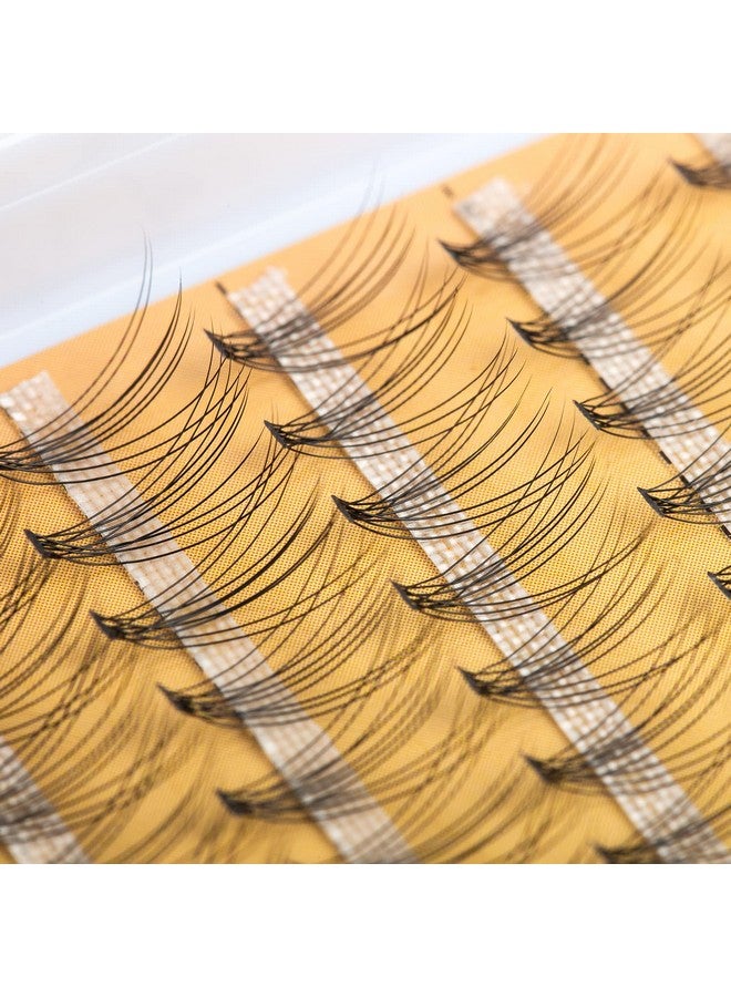 240Pcs Individual Lashes Extension 10D Natural Mix Pack Cluster Lashes 812Mm Mix Lengths C Curl 0.07Mm Thickness Professional Makeup Individual Cluster Lashes And Apply Under Your Lashes