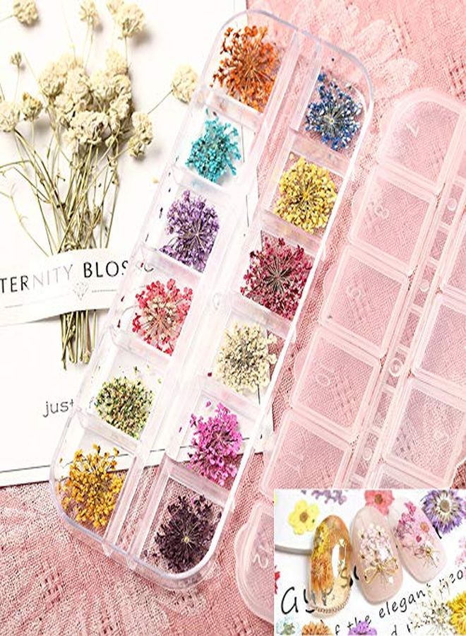 132Pcs 3D Dried Flowers Nail Art Decals 3 Boxes Colorful Dried Gypsophila Daisy Hydrangea Flowers Nail Art Stickers With 1 Tip Tweezers  Nail Art Little Pressed Real Natural Flower Nail Art Design Decoration Supplies