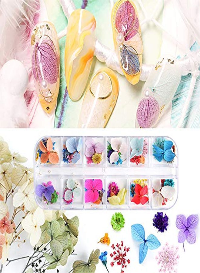 132Pcs 3D Dried Flowers Nail Art Decals 3 Boxes Colorful Dried Gypsophila Daisy Hydrangea Flowers Nail Art Stickers With 1 Tip Tweezers  Nail Art Little Pressed Real Natural Flower Nail Art Design Decoration Supplies